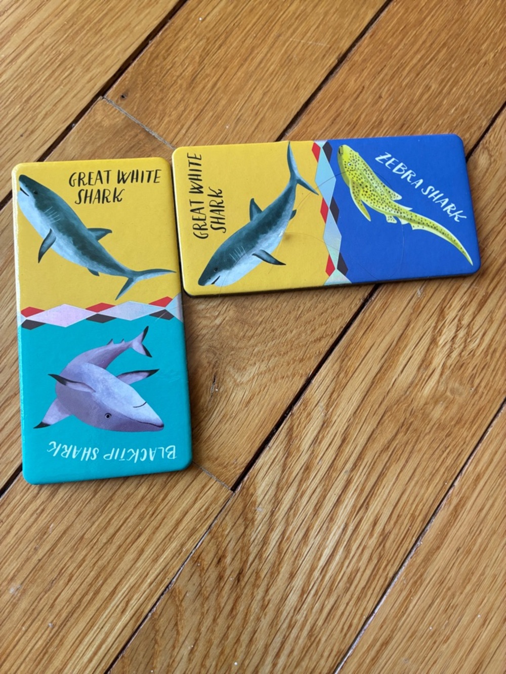 eeboo - GIANT SHINY SHARK DOMINOES - Picture 4 of 13